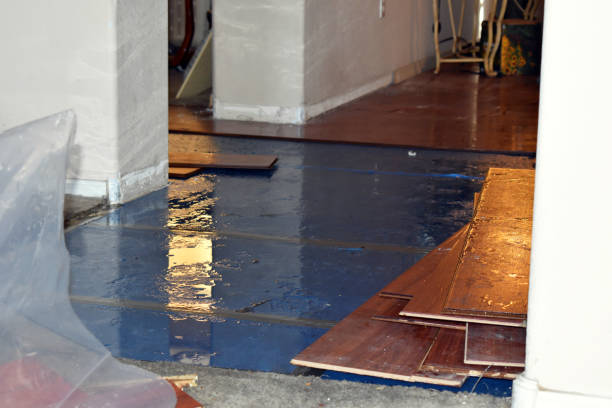 Professional Basement Flood Cleanup technician working in Belle Valley, OH
